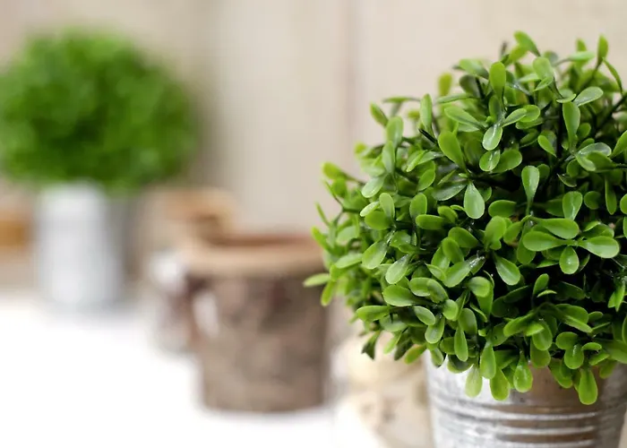 法米连斯迪欧27号公寓